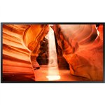 Samsung Smart Signage OM55N-S 139.7cm(55") Deal Only (Speditionsversand)