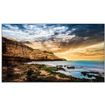 Samsung Smart Signage QE85T 214.63cm(85") Deal Only (Speditionsversand)