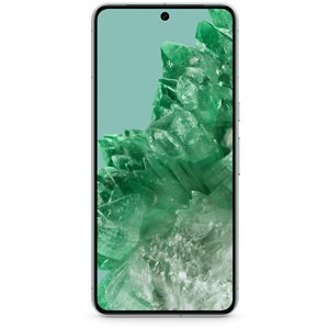 Google Pixel 8 Pro 128GB mint