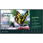 BenQ 165.1cm (65") ST6504 Android 14 UHD 2xHDMI 350nits (Speditionsversand)