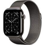 Apple Watch S11 Titanium Slate Cellular 42mm (Milanaise bracelet slate)