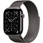 Apple Watch S11 Titan Schiefer Cellular 46mm (Milanaise Armband schiefer) M/L