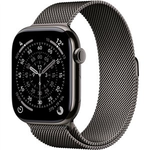 Apple Watch S11 Titan Schiefer Cellular 46mm (Milanaise Armband schiefer) M/L